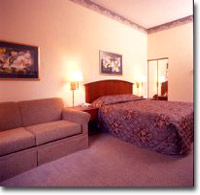 King Study - 1 King Bed with Sleeper Sofa