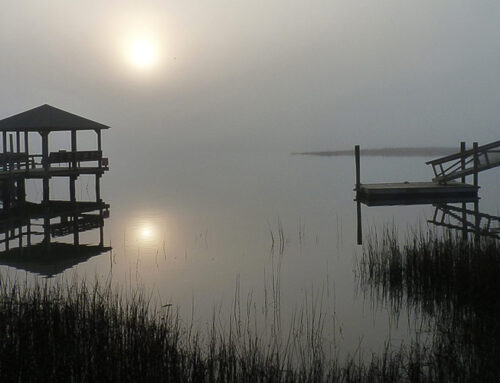 Trails End and Whiskey Creek foggy morning photo