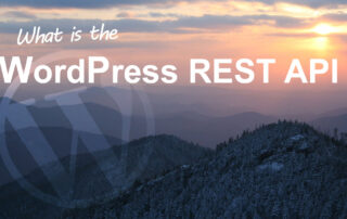 WordPress REST API