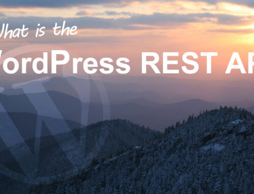 What is the WordPress REST API?