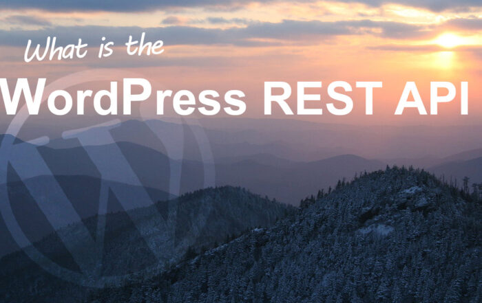 WordPress REST API